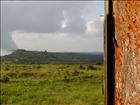 15 Bokor